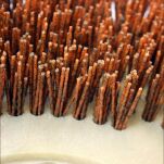 MALISH Szczotka Tynex MAL GRIT EXTRA - Pomarańczowa - 2