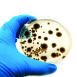MICROBIO - urządzenie do mikrobiologicznych pomiarów jakości powietrza - 2