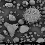 MICROBIO - urządzenie do mikrobiologicznych pomiarów jakości powietrza - 4